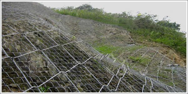 被動落石防護網對綠色生態環境的影響